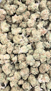Mimosa Littles - Bulk Littles - Sativa