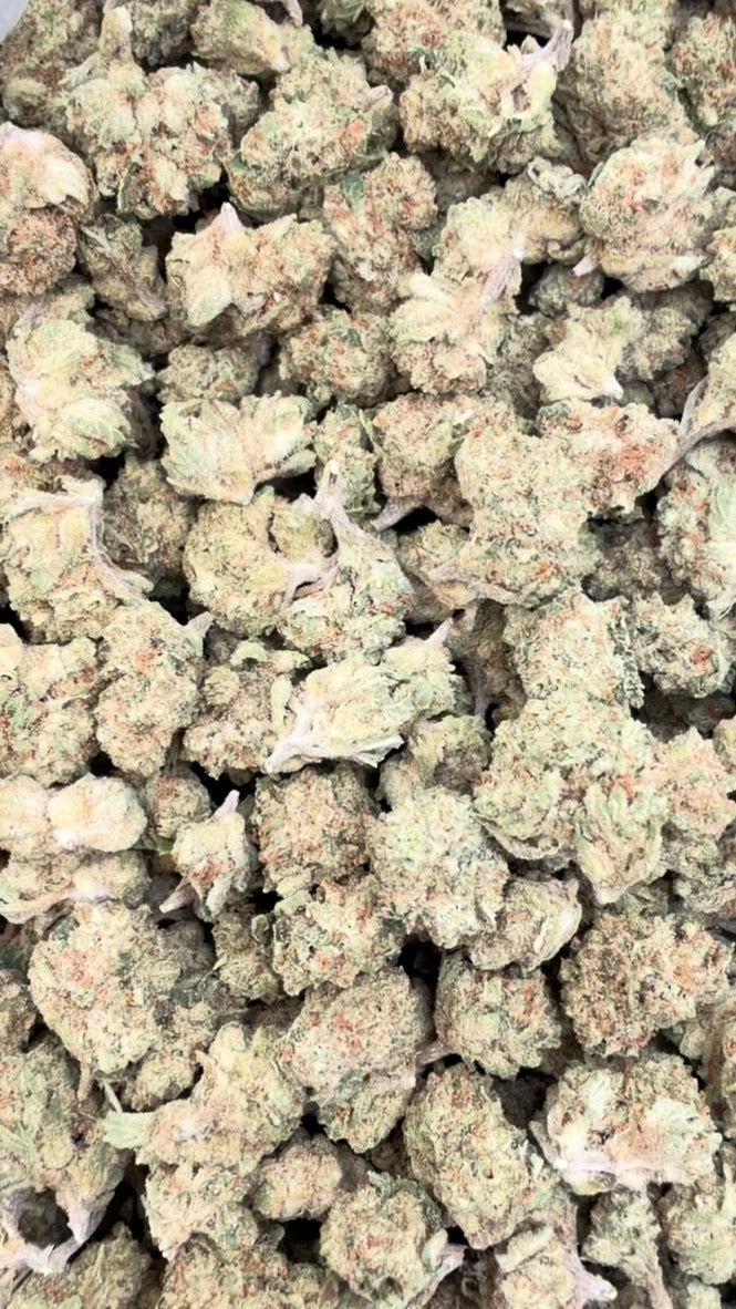Mimosa Littles - Littles a granel - Sativa
