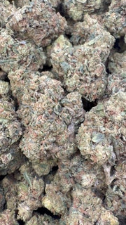 Heir Heads - Bulk - Indica