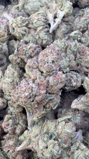 Lemon Matcha Mediums - Bulk Mediums - Hybrid