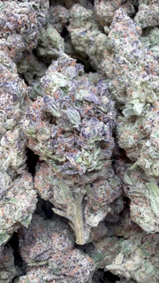 Animal Mintz - Bulk - Hybrid