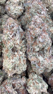 Lemon Bar - Bulk - Sativa