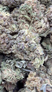 Jungle Gelato - Bulk - Indica