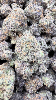 Purple Hindu Indoor - Bulk - Indica