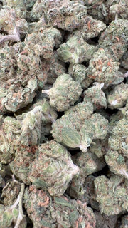 Lemon Sherb Littles - Bulk Littles - Indica