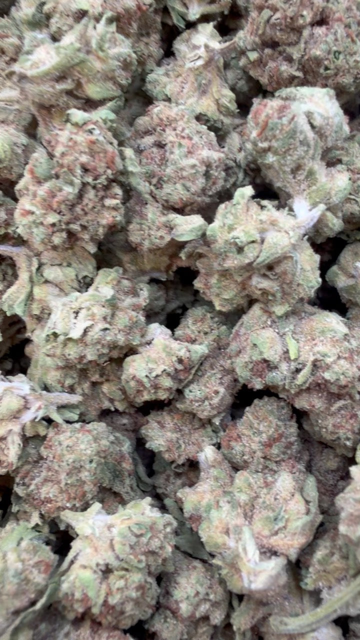 Horchata Gas Littles - Bulk Littles - Hybrid