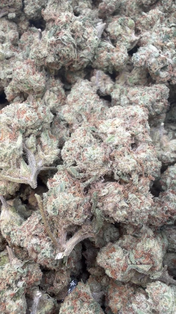 Blueberry Muffins Mediums - Bulk Mediums - Indica