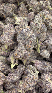 Indoor Exotic Purple Jack - Bulk - Hybrid