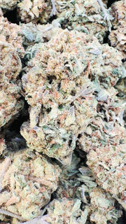 Berry Gelato - Bulk - Hybrid