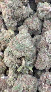 Black Cherry Caviar - Bulk - Indica