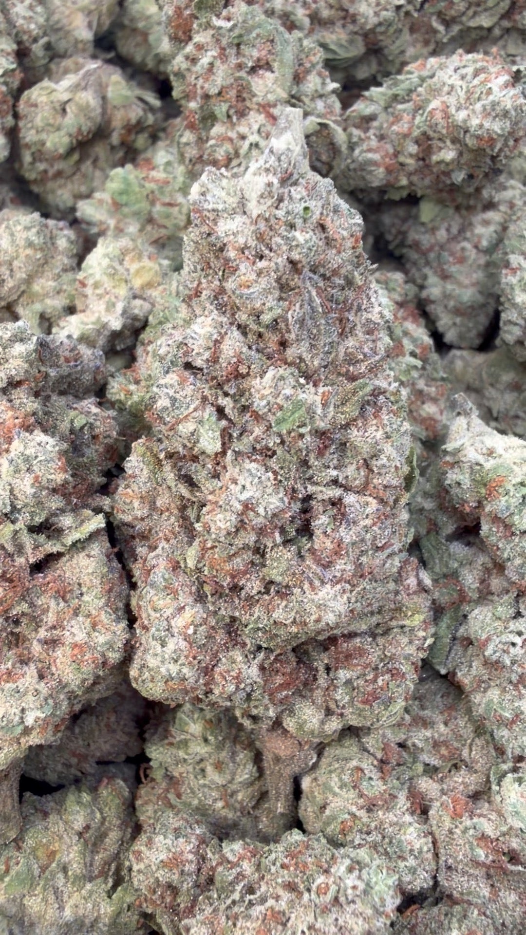 Galletas SinMint - A granel - Indica