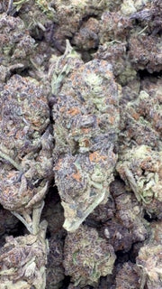 Grape Pie - Bulk - Indica