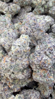 Gummiez - Bulk - Hybrid