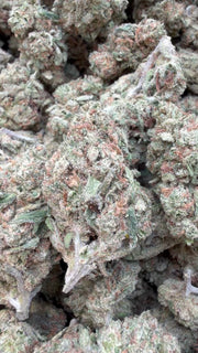 Double Dream - Bulk - Sativa