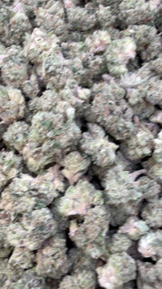 Sherblato Littles - Bulk Littles - Hybrid