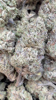 White Runtz - Bulk - Hybrid