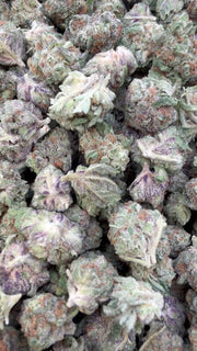 Pave Pop Littles - Bulk Littles - Hybrid