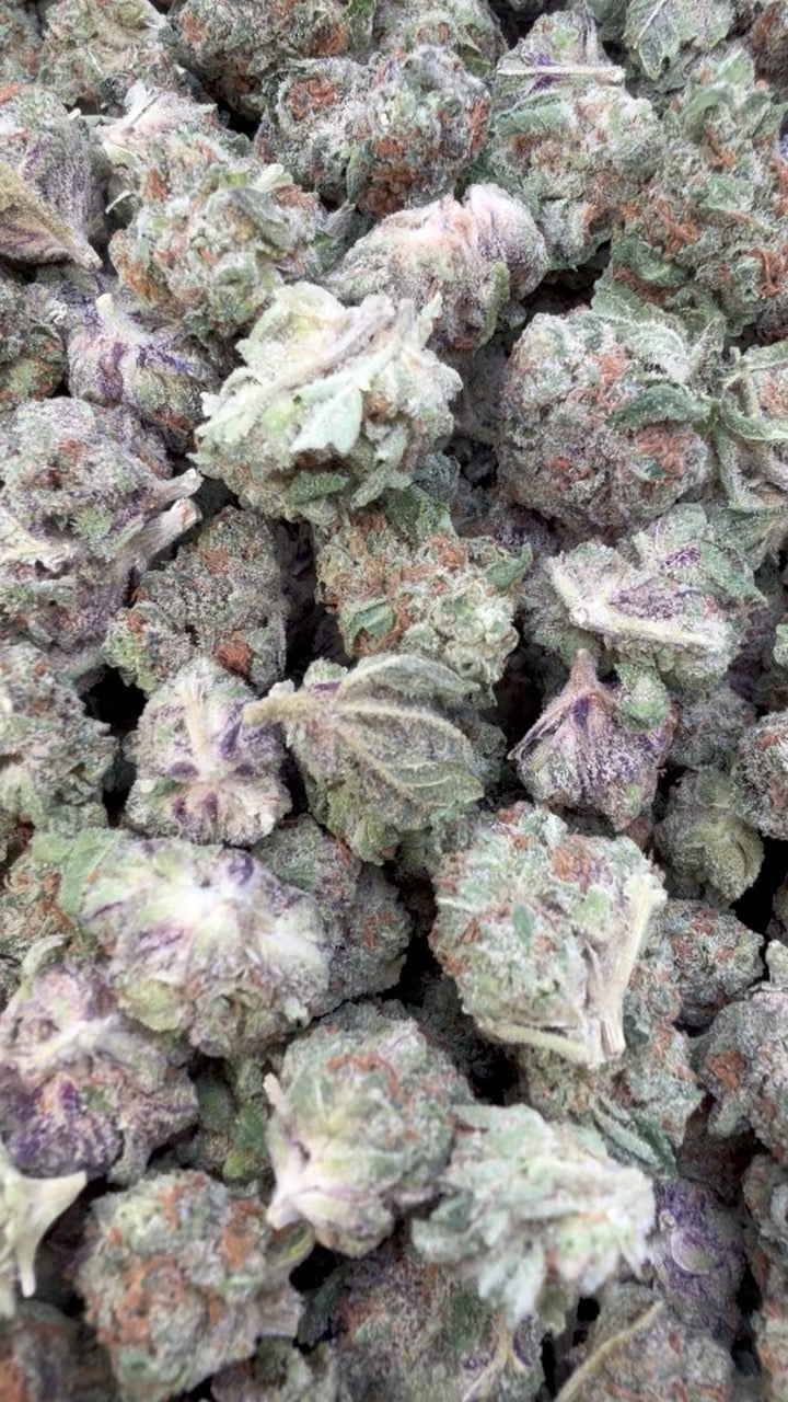 Pave Pop Littles - Bulk Littles - Hybrid