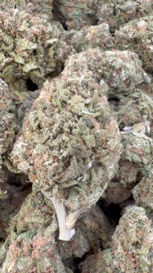 Beyond Blue Dream - Bulk - Sativa