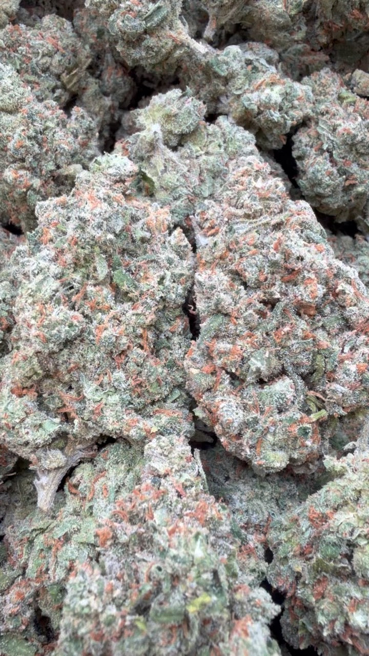 XJ 13 Interior - A granel - Sativa