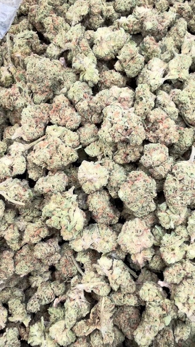 Gelato 33 Littles - Bulk Littles - Hybrid