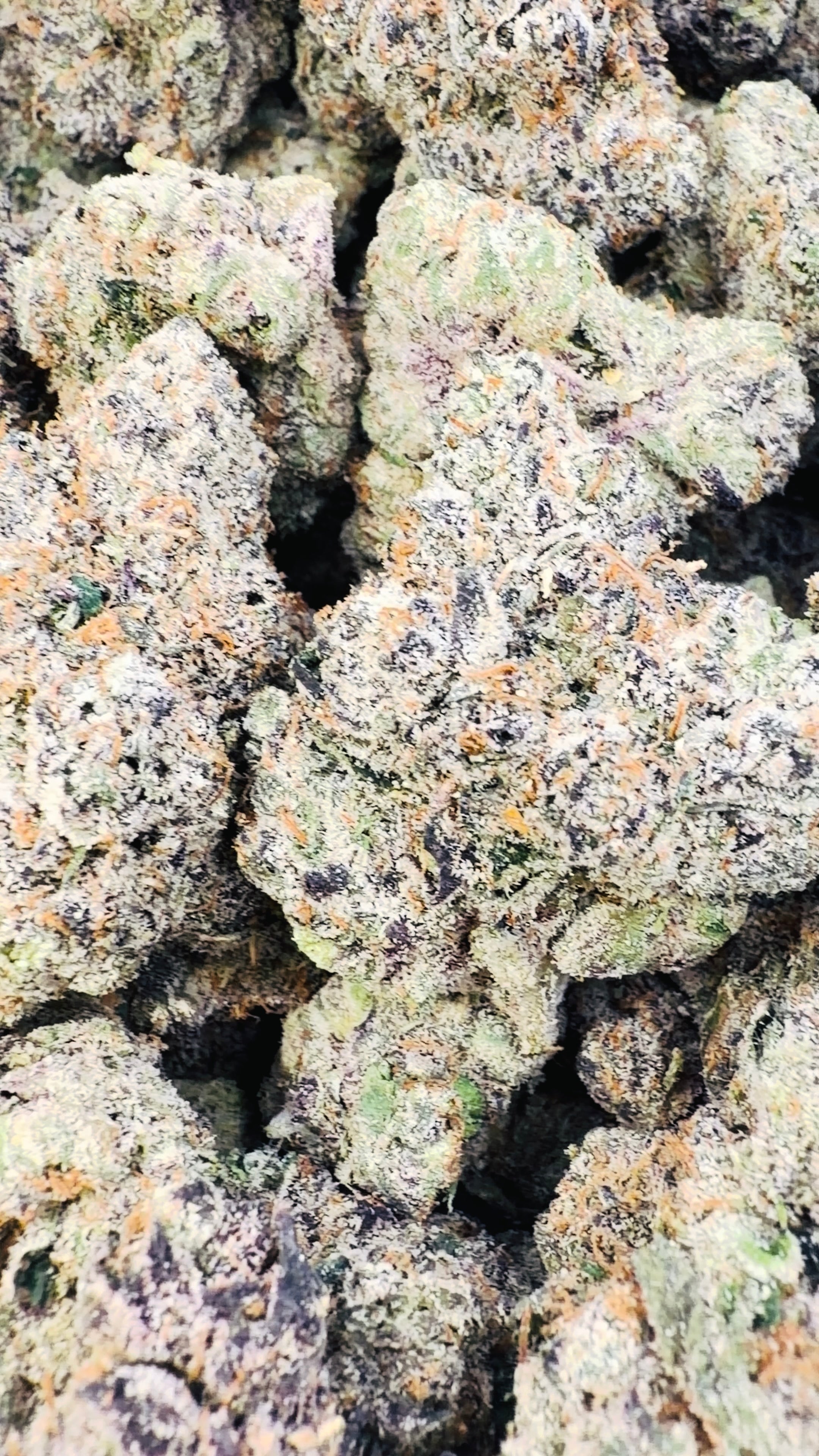 Boutique Exotics Lemon Dior - Bulk - Hybrid