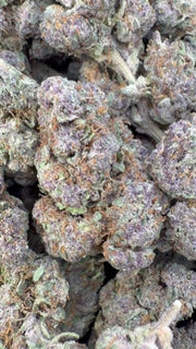 Trop Cherry - Bulk - Sativa