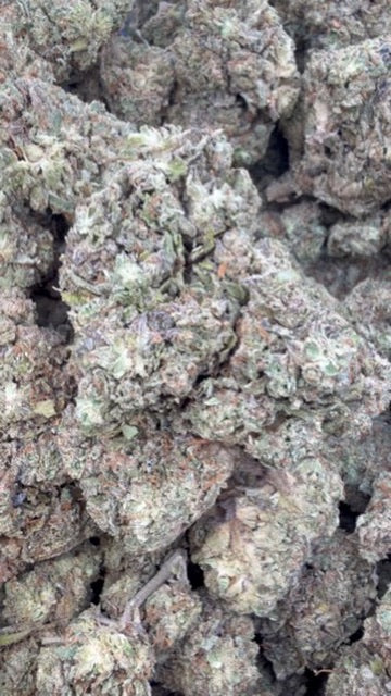 Space Runtz - Bulk - Hybrid