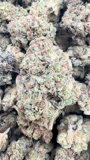 Gelato Mintz - Bulk - Hybrid