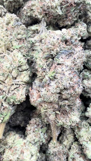 Han Solo Burger - Bulk - Indica