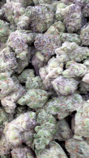 Garlic Cookies Indoor Littles - Bulk Littles - Indica