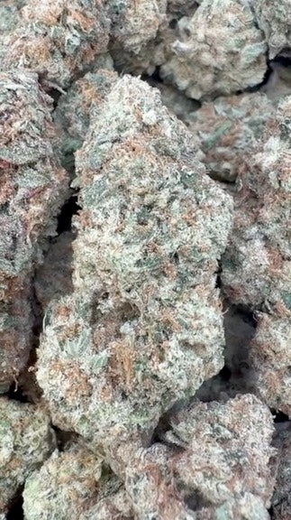 Key Lime Pie - Bulk- Indica