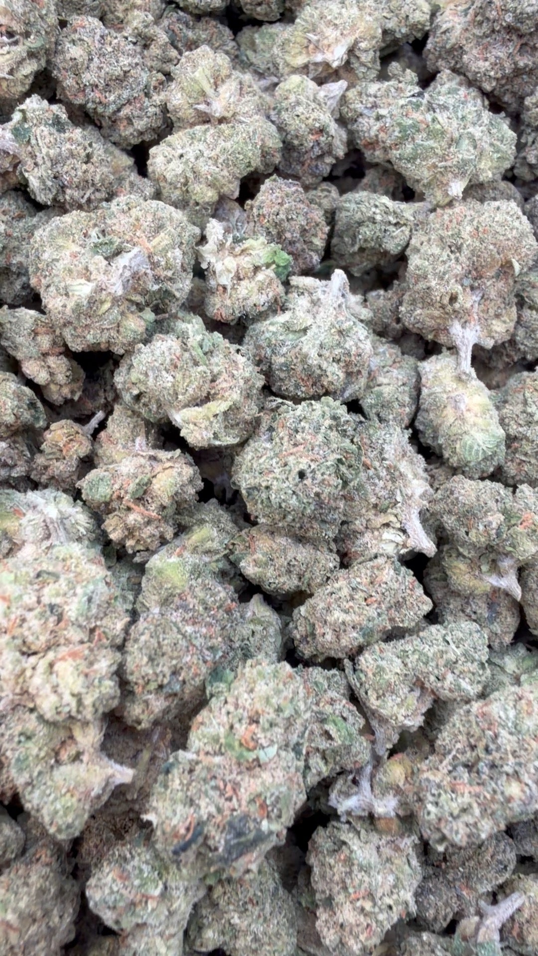 Gelato Kush Littles - Bulk Littles - Indica