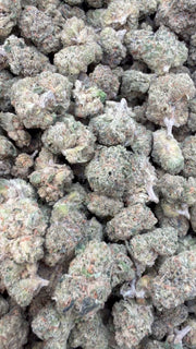 Gelato Kush Littles - Bulk Littles - Indica