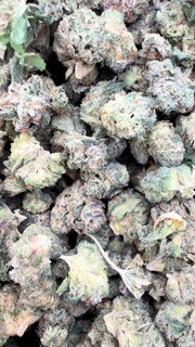 Black Cherry Runtz Indoor Littles - Bulk Littles - Indica