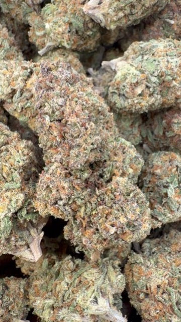 Gastro Bomb - A granel - Indica