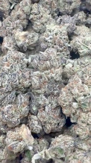 Girl Scout Cookies - Bulk - Hybrid