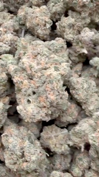 Blue Dream Indoor - A granel - Sativa