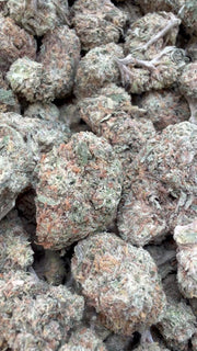 Caramel Apple Mediums - Bulk Mediums - Hybrid