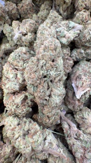 Apple Fritter - Bulk - Hybrid