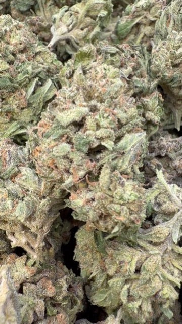 Illuminati - Bulk - Indica