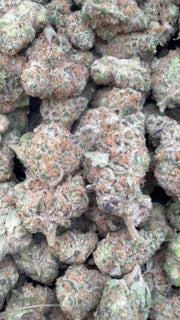 Sharpie Candy - Bulk- Hybrid