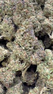 Purple Octane - A granel - Indica