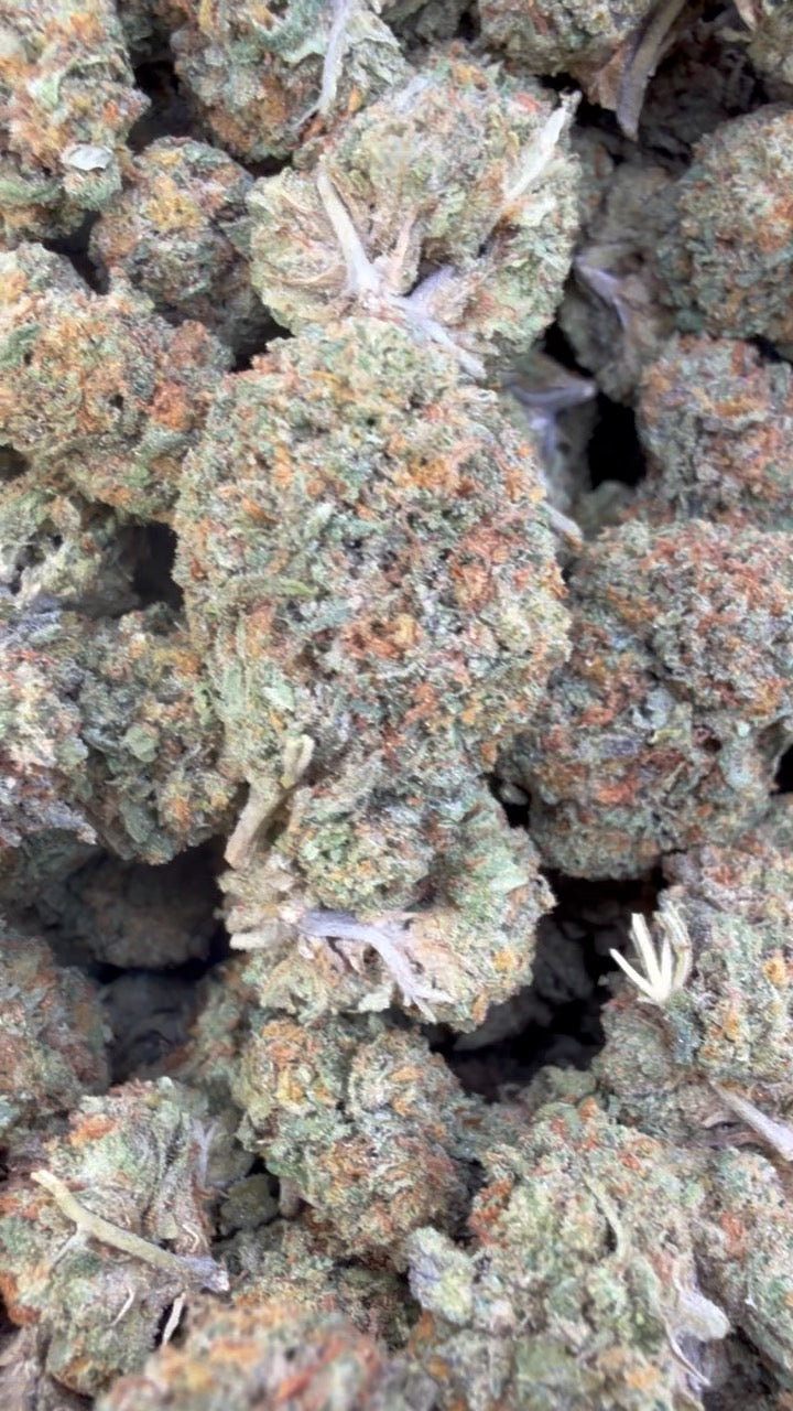 Georgia Pie Mediums - Bulk Mediums - Indica