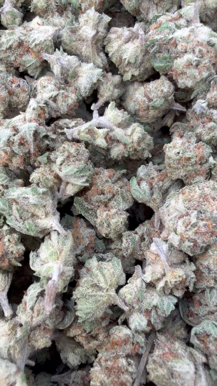 Papaya Runtz Littles - Bulk Littles - Hybrid