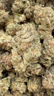 Watermelon Runtz - Bulk - Indica