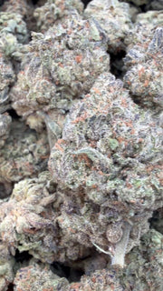 Birthday Cake - Bulk - Indica