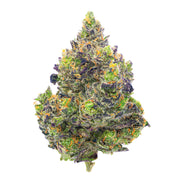 Zkittles x Mochi Indoor - 4 Grams - Indica