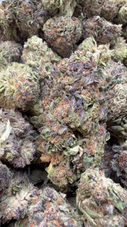 Pinnacle Mintz - Bulk - Hybrid