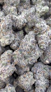 Pink Runtz Indoor - A granel - Híbrido